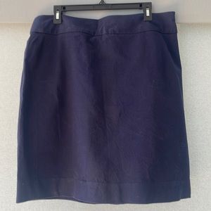 Banana Republic Skirt
